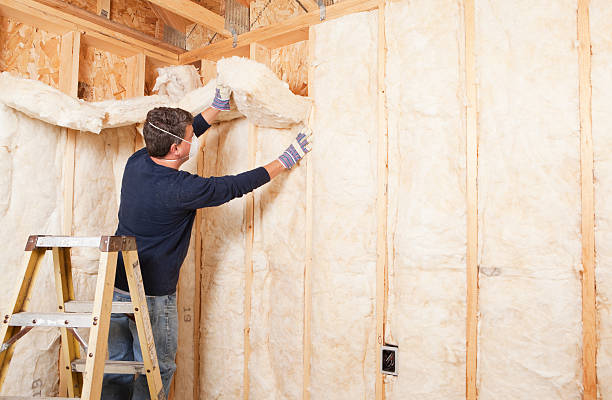 Best Radiant Barrier Insulation in USA